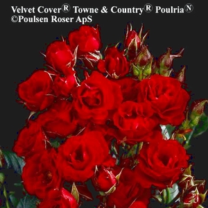 Velvet Cover™